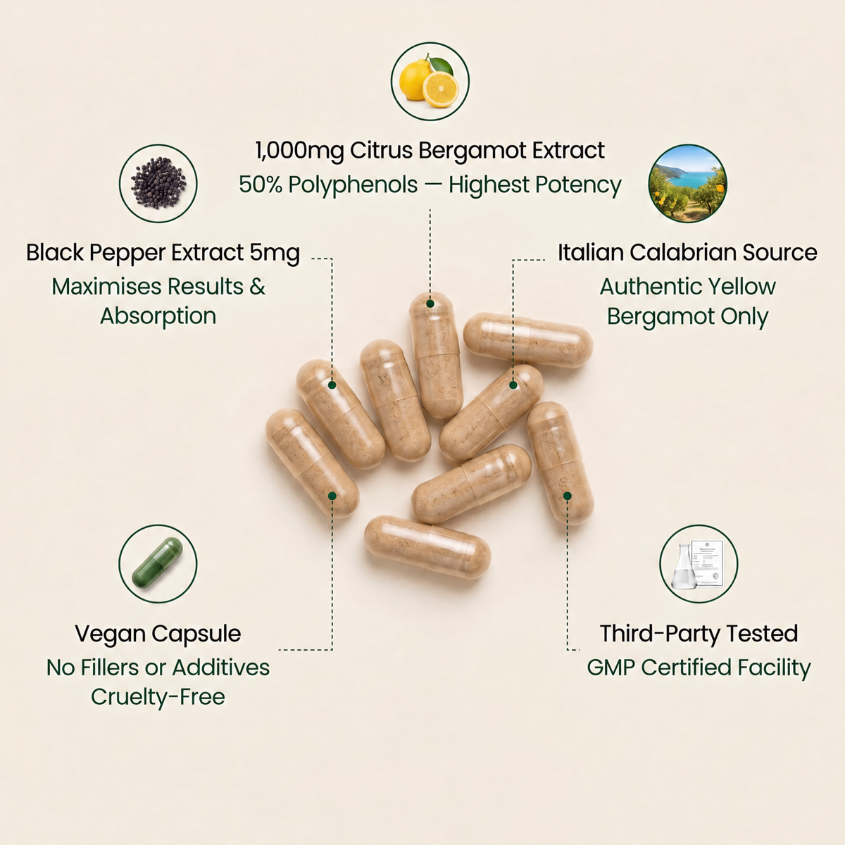 Every Ingredient Carefully Chosen