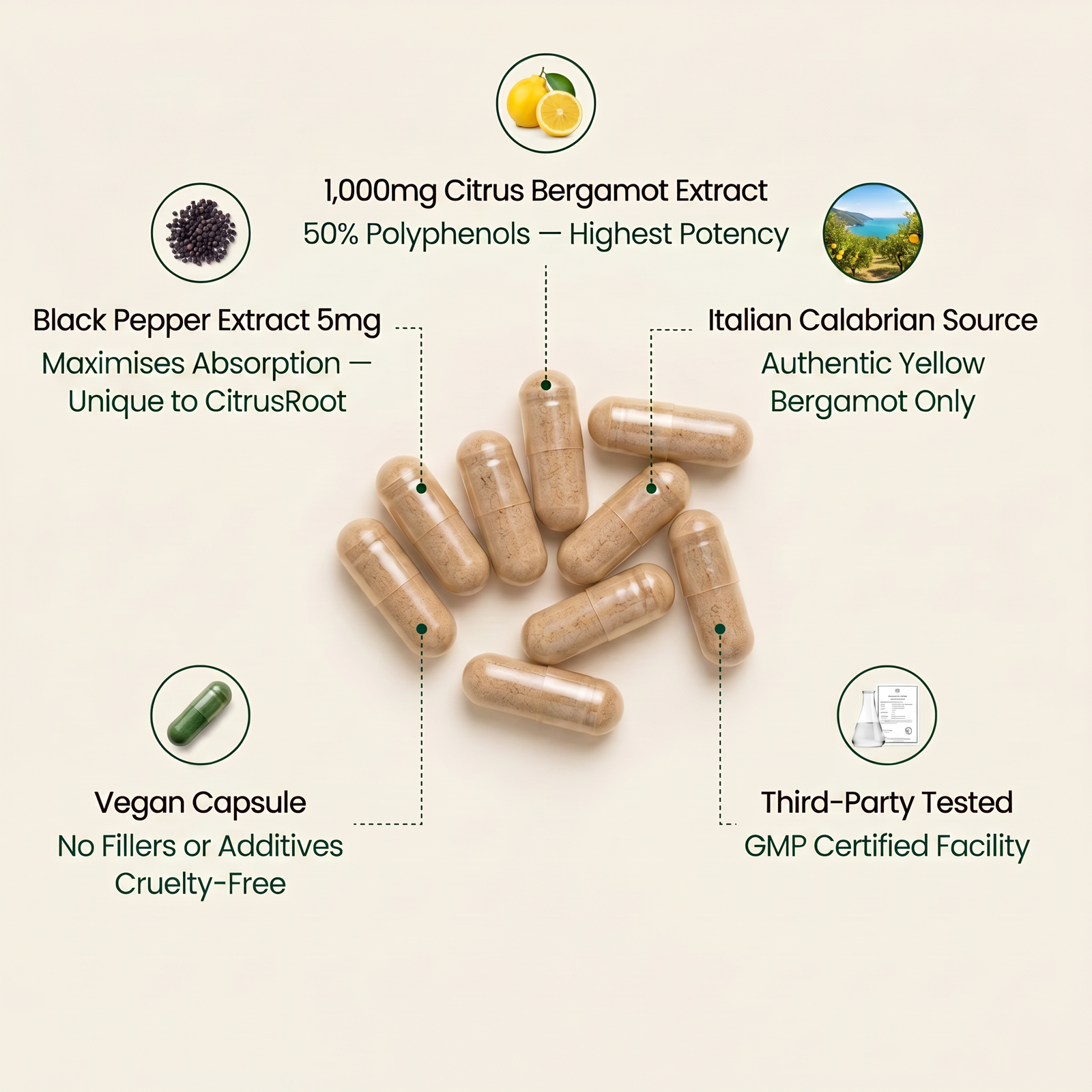 Every Ingredient Carefully Chosen